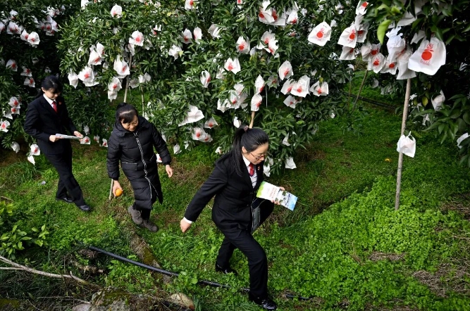 微信截图_20240514101612.png
